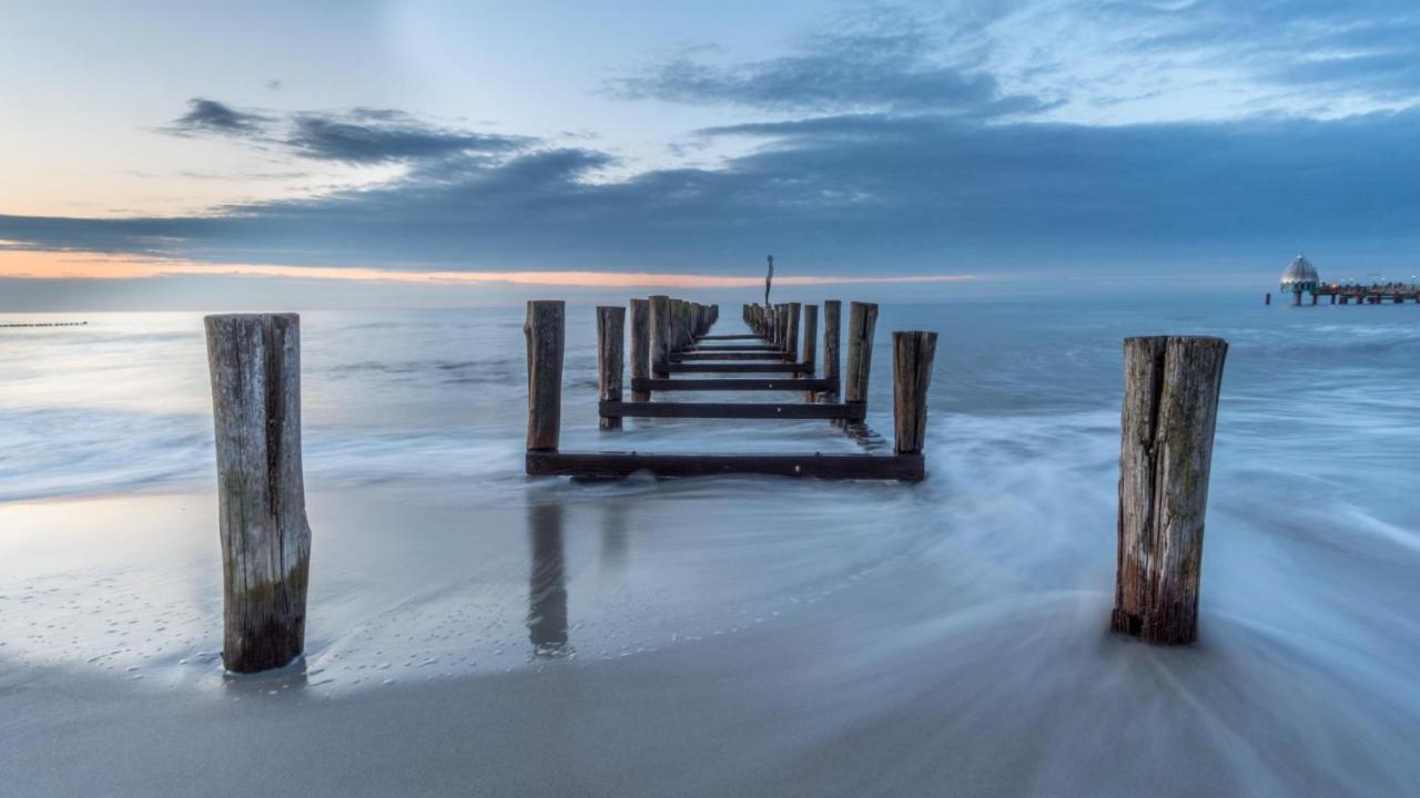Residenz Am Strand Wohnung 1-11 Zingst Εξωτερικό φωτογραφία
